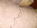 SAM_1156 SAM_1156